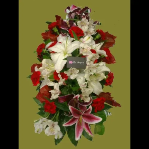 almohadon-rojo-blanco