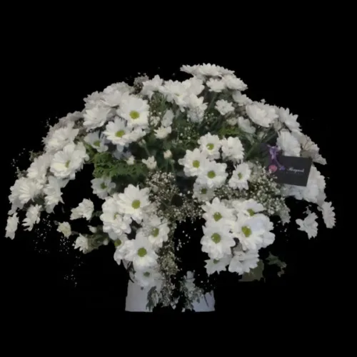 centro-de-margaritas-blancas