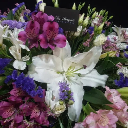 centro-variado-de-colores-01