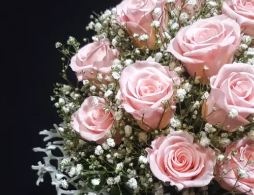 Rosas rosas- Su significado