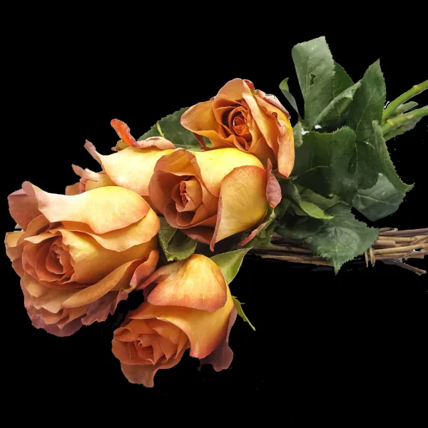 Significado de regalar rosas naranjas 17 20200529 210624 02 scaled.jpeg