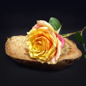 rosa_naranja