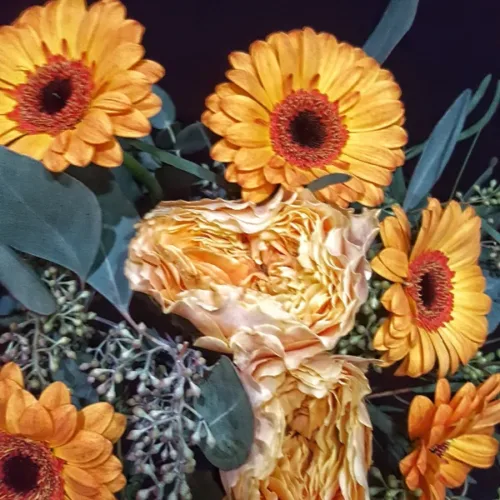 berlin-en-primavera-comp