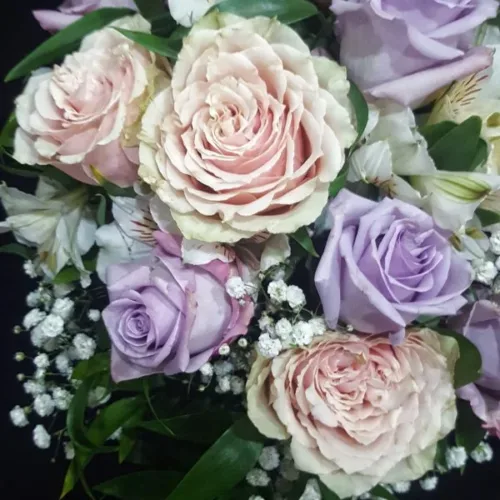 la-primavera-esta-en-el-aire-comp