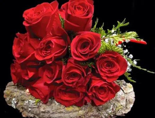 Rosas rojas – Significado espiritual sentimental.