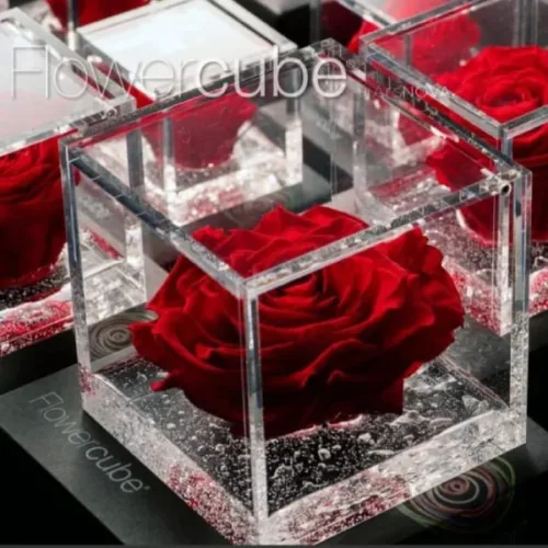 rosa-preservada-elegant